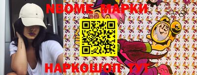 СК Бердск