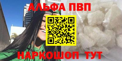 СК Бердск