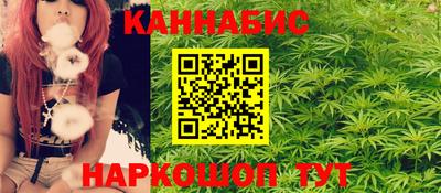 СК Бердск