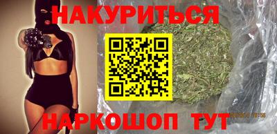 СК Бердск