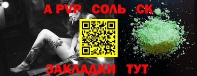 СК Бердск