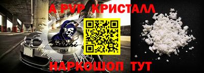 СК Бердск
