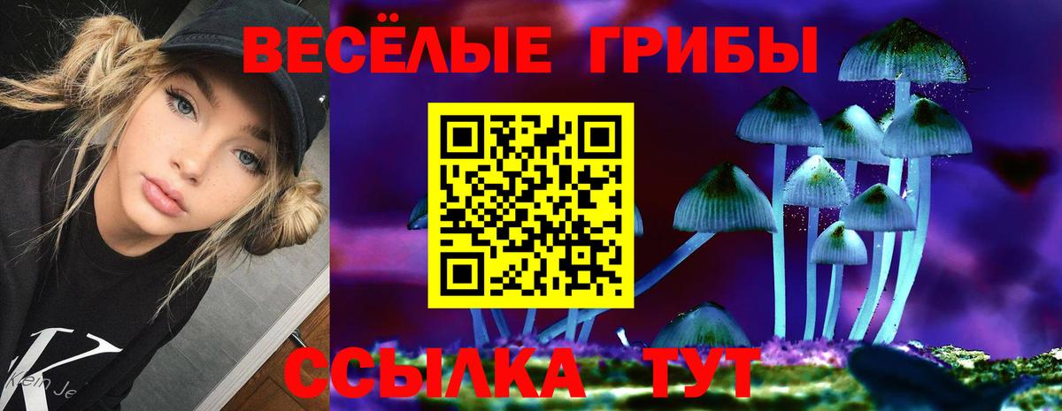 Галлюциногенные грибы прущие грибы Электросталь