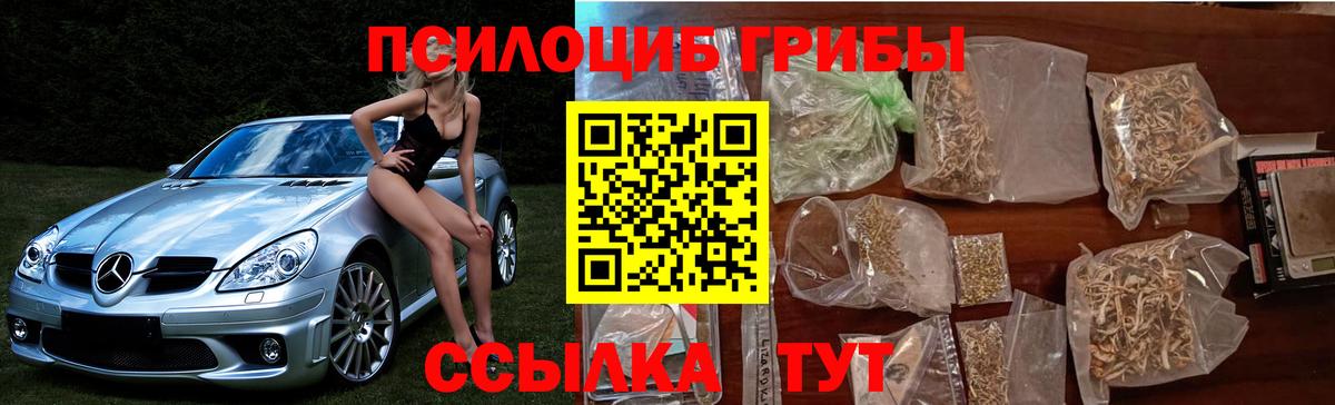 Галлюциногенные грибы Magic Shrooms  Псилоцибиновые грибы GOLDEN TEACHER  Электросталь  Вход с VPN 